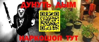 сатива Комсомольск-на-Амуре