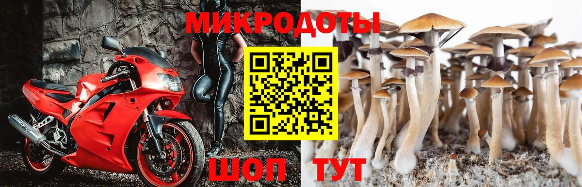 Карталы  Псилоцибиновые грибы мухоморы  Вход с VPN 